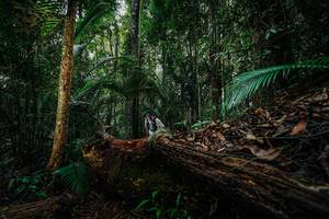 BIB: 
                            <button type="button" onclick="openModal(26425890)" class="btn btn-primary btn-sm float-right btn-popup" data-toggle="modal" data-target=".modal-high-quality">
                        <i class="fas fa-shopping-cart"></i> Add to Cart
                    </button>
                                            <button type="button" onclick="isThisMe(26425890, true)" class="btn btn-success btn-sm float-right btn-popup btn-isme hidden" data-toggle="tooltip" data-placement="bottom" title="นี่คือรูปของคุณใช่ไหม คลิกที่นี่เพื่อเอาเข้าอัลบั้ม">
                        <i class="fas fa-plus"></i> Add to album
                    </button>
                    <button type="button" onclick="isThisMe(26425890, false)" class="btn btn-warning btn-sm float-right btn-popup btn-isnotme hidden">
                        <i class="fas fa-ban"></i> Remove from album
                    </button>