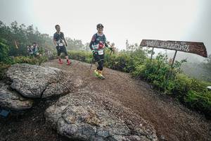 BIB: 
                            <button type="button" onclick="openModal(26420358)" class="btn btn-primary btn-sm float-right btn-popup" data-toggle="modal" data-target=".modal-high-quality">
                        <i class="fas fa-shopping-cart"></i> Add to Cart
                    </button>
                                            <button type="button" onclick="isThisMe(26420358, true)" class="btn btn-success btn-sm float-right btn-popup btn-isme hidden" data-toggle="tooltip" data-placement="bottom" title="นี่คือรูปของคุณใช่ไหม คลิกที่นี่เพื่อเอาเข้าอัลบั้ม">
                        <i class="fas fa-plus"></i> Add to album
                    </button>
                    <button type="button" onclick="isThisMe(26420358, false)" class="btn btn-warning btn-sm float-right btn-popup btn-isnotme hidden">
                        <i class="fas fa-ban"></i> Remove from album
                    </button>