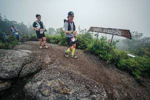 BIB: 
                            <button type="button" onclick="openModal(26419158)" class="btn btn-primary btn-sm float-right btn-popup" data-toggle="modal" data-target=".modal-high-quality">
                        <i class="fas fa-shopping-cart"></i> Add to Cart
                    </button>
                                            <button type="button" onclick="isThisMe(26419158, true)" class="btn btn-success btn-sm float-right btn-popup btn-isme hidden" data-toggle="tooltip" data-placement="bottom" title="นี่คือรูปของคุณใช่ไหม คลิกที่นี่เพื่อเอาเข้าอัลบั้ม">
                        <i class="fas fa-plus"></i> Add to album
                    </button>
                    <button type="button" onclick="isThisMe(26419158, false)" class="btn btn-warning btn-sm float-right btn-popup btn-isnotme hidden">
                        <i class="fas fa-ban"></i> Remove from album
                    </button>