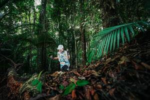 BIB: 
                            <button type="button" onclick="openModal(26429603)" class="btn btn-primary btn-sm float-right btn-popup" data-toggle="modal" data-target=".modal-high-quality">
                        <i class="fas fa-shopping-cart"></i> Add to Cart
                    </button>
                                            <button type="button" onclick="isThisMe(26429603, true)" class="btn btn-success btn-sm float-right btn-popup btn-isme hidden" data-toggle="tooltip" data-placement="bottom" title="นี่คือรูปของคุณใช่ไหม คลิกที่นี่เพื่อเอาเข้าอัลบั้ม">
                        <i class="fas fa-plus"></i> Add to album
                    </button>
                    <button type="button" onclick="isThisMe(26429603, false)" class="btn btn-warning btn-sm float-right btn-popup btn-isnotme hidden">
                        <i class="fas fa-ban"></i> Remove from album
                    </button>