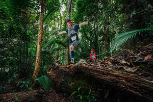 BIB: 
                            <button type="button" onclick="openModal(26425070)" class="btn btn-primary btn-sm float-right btn-popup" data-toggle="modal" data-target=".modal-high-quality">
                        <i class="fas fa-shopping-cart"></i> Add to Cart
                    </button>
                                            <button type="button" onclick="isThisMe(26425070, true)" class="btn btn-success btn-sm float-right btn-popup btn-isme hidden" data-toggle="tooltip" data-placement="bottom" title="นี่คือรูปของคุณใช่ไหม คลิกที่นี่เพื่อเอาเข้าอัลบั้ม">
                        <i class="fas fa-plus"></i> Add to album
                    </button>
                    <button type="button" onclick="isThisMe(26425070, false)" class="btn btn-warning btn-sm float-right btn-popup btn-isnotme hidden">
                        <i class="fas fa-ban"></i> Remove from album
                    </button>