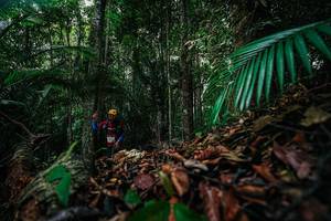 BIB: 
                            <button type="button" onclick="openModal(26429387)" class="btn btn-primary btn-sm float-right btn-popup" data-toggle="modal" data-target=".modal-high-quality">
                        <i class="fas fa-shopping-cart"></i> Add to Cart
                    </button>
                                            <button type="button" onclick="isThisMe(26429387, true)" class="btn btn-success btn-sm float-right btn-popup btn-isme hidden" data-toggle="tooltip" data-placement="bottom" title="นี่คือรูปของคุณใช่ไหม คลิกที่นี่เพื่อเอาเข้าอัลบั้ม">
                        <i class="fas fa-plus"></i> Add to album
                    </button>
                    <button type="button" onclick="isThisMe(26429387, false)" class="btn btn-warning btn-sm float-right btn-popup btn-isnotme hidden">
                        <i class="fas fa-ban"></i> Remove from album
                    </button>