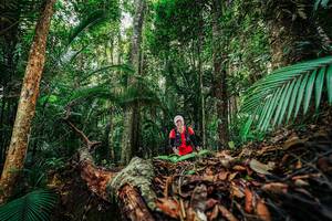 BIB: 
                            <button type="button" onclick="openModal(26423144)" class="btn btn-primary btn-sm float-right btn-popup" data-toggle="modal" data-target=".modal-high-quality">
                        <i class="fas fa-shopping-cart"></i> Add to Cart
                    </button>
                                            <button type="button" onclick="isThisMe(26423144, true)" class="btn btn-success btn-sm float-right btn-popup btn-isme hidden" data-toggle="tooltip" data-placement="bottom" title="นี่คือรูปของคุณใช่ไหม คลิกที่นี่เพื่อเอาเข้าอัลบั้ม">
                        <i class="fas fa-plus"></i> Add to album
                    </button>
                    <button type="button" onclick="isThisMe(26423144, false)" class="btn btn-warning btn-sm float-right btn-popup btn-isnotme hidden">
                        <i class="fas fa-ban"></i> Remove from album
                    </button>