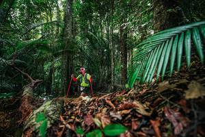 BIB: 
                            <button type="button" onclick="openModal(26429699)" class="btn btn-primary btn-sm float-right btn-popup" data-toggle="modal" data-target=".modal-high-quality">
                        <i class="fas fa-shopping-cart"></i> Add to Cart
                    </button>
                                            <button type="button" onclick="isThisMe(26429699, true)" class="btn btn-success btn-sm float-right btn-popup btn-isme hidden" data-toggle="tooltip" data-placement="bottom" title="นี่คือรูปของคุณใช่ไหม คลิกที่นี่เพื่อเอาเข้าอัลบั้ม">
                        <i class="fas fa-plus"></i> Add to album
                    </button>
                    <button type="button" onclick="isThisMe(26429699, false)" class="btn btn-warning btn-sm float-right btn-popup btn-isnotme hidden">
                        <i class="fas fa-ban"></i> Remove from album
                    </button>