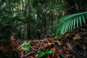 BIB: 
                            <button type="button" onclick="openModal(26427474)" class="btn btn-primary btn-sm float-right btn-popup" data-toggle="modal" data-target=".modal-high-quality">
                        <i class="fas fa-shopping-cart"></i> Add to Cart
                    </button>
                                            <button type="button" onclick="isThisMe(26427474, true)" class="btn btn-success btn-sm float-right btn-popup btn-isme hidden" data-toggle="tooltip" data-placement="bottom" title="นี่คือรูปของคุณใช่ไหม คลิกที่นี่เพื่อเอาเข้าอัลบั้ม">
                        <i class="fas fa-plus"></i> Add to album
                    </button>
                    <button type="button" onclick="isThisMe(26427474, false)" class="btn btn-warning btn-sm float-right btn-popup btn-isnotme hidden">
                        <i class="fas fa-ban"></i> Remove from album
                    </button>