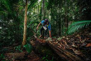 BIB: 
                            <button type="button" onclick="openModal(26426505)" class="btn btn-primary btn-sm float-right btn-popup" data-toggle="modal" data-target=".modal-high-quality">
                        <i class="fas fa-shopping-cart"></i> Add to Cart
                    </button>
                                            <button type="button" onclick="isThisMe(26426505, true)" class="btn btn-success btn-sm float-right btn-popup btn-isme hidden" data-toggle="tooltip" data-placement="bottom" title="นี่คือรูปของคุณใช่ไหม คลิกที่นี่เพื่อเอาเข้าอัลบั้ม">
                        <i class="fas fa-plus"></i> Add to album
                    </button>
                    <button type="button" onclick="isThisMe(26426505, false)" class="btn btn-warning btn-sm float-right btn-popup btn-isnotme hidden">
                        <i class="fas fa-ban"></i> Remove from album
                    </button>