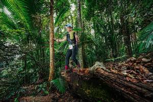 BIB: 
                            <button type="button" onclick="openModal(26424690)" class="btn btn-primary btn-sm float-right btn-popup" data-toggle="modal" data-target=".modal-high-quality">
                        <i class="fas fa-shopping-cart"></i> Add to Cart
                    </button>
                                            <button type="button" onclick="isThisMe(26424690, true)" class="btn btn-success btn-sm float-right btn-popup btn-isme hidden" data-toggle="tooltip" data-placement="bottom" title="นี่คือรูปของคุณใช่ไหม คลิกที่นี่เพื่อเอาเข้าอัลบั้ม">
                        <i class="fas fa-plus"></i> Add to album
                    </button>
                    <button type="button" onclick="isThisMe(26424690, false)" class="btn btn-warning btn-sm float-right btn-popup btn-isnotme hidden">
                        <i class="fas fa-ban"></i> Remove from album
                    </button>