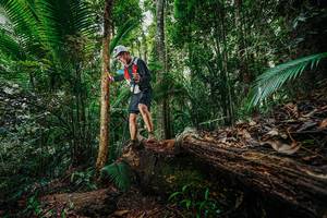 BIB: 
                            <button type="button" onclick="openModal(26425472)" class="btn btn-primary btn-sm float-right btn-popup" data-toggle="modal" data-target=".modal-high-quality">
                        <i class="fas fa-shopping-cart"></i> Add to Cart
                    </button>
                                            <button type="button" onclick="isThisMe(26425472, true)" class="btn btn-success btn-sm float-right btn-popup btn-isme hidden" data-toggle="tooltip" data-placement="bottom" title="นี่คือรูปของคุณใช่ไหม คลิกที่นี่เพื่อเอาเข้าอัลบั้ม">
                        <i class="fas fa-plus"></i> Add to album
                    </button>
                    <button type="button" onclick="isThisMe(26425472, false)" class="btn btn-warning btn-sm float-right btn-popup btn-isnotme hidden">
                        <i class="fas fa-ban"></i> Remove from album
                    </button>