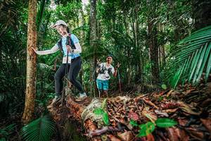 BIB: 
                            <button type="button" onclick="openModal(26429954)" class="btn btn-primary btn-sm float-right btn-popup" data-toggle="modal" data-target=".modal-high-quality">
                        <i class="fas fa-shopping-cart"></i> Add to Cart
                    </button>
                                            <button type="button" onclick="isThisMe(26429954, true)" class="btn btn-success btn-sm float-right btn-popup btn-isme hidden" data-toggle="tooltip" data-placement="bottom" title="นี่คือรูปของคุณใช่ไหม คลิกที่นี่เพื่อเอาเข้าอัลบั้ม">
                        <i class="fas fa-plus"></i> Add to album
                    </button>
                    <button type="button" onclick="isThisMe(26429954, false)" class="btn btn-warning btn-sm float-right btn-popup btn-isnotme hidden">
                        <i class="fas fa-ban"></i> Remove from album
                    </button>