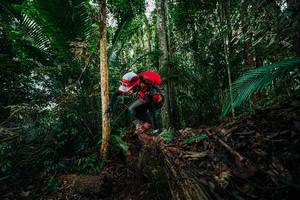 BIB: 
                            <button type="button" onclick="openModal(26432322)" class="btn btn-primary btn-sm float-right btn-popup" data-toggle="modal" data-target=".modal-high-quality">
                        <i class="fas fa-shopping-cart"></i> Add to Cart
                    </button>
                                            <button type="button" onclick="isThisMe(26432322, true)" class="btn btn-success btn-sm float-right btn-popup btn-isme hidden" data-toggle="tooltip" data-placement="bottom" title="นี่คือรูปของคุณใช่ไหม คลิกที่นี่เพื่อเอาเข้าอัลบั้ม">
                        <i class="fas fa-plus"></i> Add to album
                    </button>
                    <button type="button" onclick="isThisMe(26432322, false)" class="btn btn-warning btn-sm float-right btn-popup btn-isnotme hidden">
                        <i class="fas fa-ban"></i> Remove from album
                    </button>