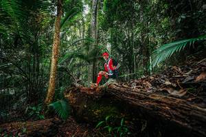 BIB: 
                            <button type="button" onclick="openModal(26425075)" class="btn btn-primary btn-sm float-right btn-popup" data-toggle="modal" data-target=".modal-high-quality">
                        <i class="fas fa-shopping-cart"></i> Add to Cart
                    </button>
                                            <button type="button" onclick="isThisMe(26425075, true)" class="btn btn-success btn-sm float-right btn-popup btn-isme hidden" data-toggle="tooltip" data-placement="bottom" title="นี่คือรูปของคุณใช่ไหม คลิกที่นี่เพื่อเอาเข้าอัลบั้ม">
                        <i class="fas fa-plus"></i> Add to album
                    </button>
                    <button type="button" onclick="isThisMe(26425075, false)" class="btn btn-warning btn-sm float-right btn-popup btn-isnotme hidden">
                        <i class="fas fa-ban"></i> Remove from album
                    </button>