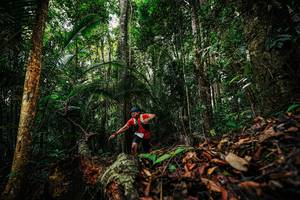 BIB: 
                            <button type="button" onclick="openModal(26420700)" class="btn btn-primary btn-sm float-right btn-popup" data-toggle="modal" data-target=".modal-high-quality">
                        <i class="fas fa-shopping-cart"></i> Add to Cart
                    </button>
                                            <button type="button" onclick="isThisMe(26420700, true)" class="btn btn-success btn-sm float-right btn-popup btn-isme hidden" data-toggle="tooltip" data-placement="bottom" title="นี่คือรูปของคุณใช่ไหม คลิกที่นี่เพื่อเอาเข้าอัลบั้ม">
                        <i class="fas fa-plus"></i> Add to album
                    </button>
                    <button type="button" onclick="isThisMe(26420700, false)" class="btn btn-warning btn-sm float-right btn-popup btn-isnotme hidden">
                        <i class="fas fa-ban"></i> Remove from album
                    </button>