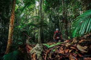 BIB: 
                            <button type="button" onclick="openModal(26422081)" class="btn btn-primary btn-sm float-right btn-popup" data-toggle="modal" data-target=".modal-high-quality">
                        <i class="fas fa-shopping-cart"></i> Add to Cart
                    </button>
                                            <button type="button" onclick="isThisMe(26422081, true)" class="btn btn-success btn-sm float-right btn-popup btn-isme hidden" data-toggle="tooltip" data-placement="bottom" title="นี่คือรูปของคุณใช่ไหม คลิกที่นี่เพื่อเอาเข้าอัลบั้ม">
                        <i class="fas fa-plus"></i> Add to album
                    </button>
                    <button type="button" onclick="isThisMe(26422081, false)" class="btn btn-warning btn-sm float-right btn-popup btn-isnotme hidden">
                        <i class="fas fa-ban"></i> Remove from album
                    </button>