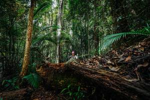 BIB: 
                            <button type="button" onclick="openModal(26425633)" class="btn btn-primary btn-sm float-right btn-popup" data-toggle="modal" data-target=".modal-high-quality">
                        <i class="fas fa-shopping-cart"></i> Add to Cart
                    </button>
                                            <button type="button" onclick="isThisMe(26425633, true)" class="btn btn-success btn-sm float-right btn-popup btn-isme hidden" data-toggle="tooltip" data-placement="bottom" title="นี่คือรูปของคุณใช่ไหม คลิกที่นี่เพื่อเอาเข้าอัลบั้ม">
                        <i class="fas fa-plus"></i> Add to album
                    </button>
                    <button type="button" onclick="isThisMe(26425633, false)" class="btn btn-warning btn-sm float-right btn-popup btn-isnotme hidden">
                        <i class="fas fa-ban"></i> Remove from album
                    </button>