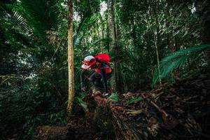 BIB: 
                            <button type="button" onclick="openModal(26432323)" class="btn btn-primary btn-sm float-right btn-popup" data-toggle="modal" data-target=".modal-high-quality">
                        <i class="fas fa-shopping-cart"></i> Add to Cart
                    </button>
                                            <button type="button" onclick="isThisMe(26432323, true)" class="btn btn-success btn-sm float-right btn-popup btn-isme hidden" data-toggle="tooltip" data-placement="bottom" title="นี่คือรูปของคุณใช่ไหม คลิกที่นี่เพื่อเอาเข้าอัลบั้ม">
                        <i class="fas fa-plus"></i> Add to album
                    </button>
                    <button type="button" onclick="isThisMe(26432323, false)" class="btn btn-warning btn-sm float-right btn-popup btn-isnotme hidden">
                        <i class="fas fa-ban"></i> Remove from album
                    </button>