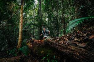 BIB: 
                            <button type="button" onclick="openModal(26426122)" class="btn btn-primary btn-sm float-right btn-popup" data-toggle="modal" data-target=".modal-high-quality">
                        <i class="fas fa-shopping-cart"></i> Add to Cart
                    </button>
                                            <button type="button" onclick="isThisMe(26426122, true)" class="btn btn-success btn-sm float-right btn-popup btn-isme hidden" data-toggle="tooltip" data-placement="bottom" title="นี่คือรูปของคุณใช่ไหม คลิกที่นี่เพื่อเอาเข้าอัลบั้ม">
                        <i class="fas fa-plus"></i> Add to album
                    </button>
                    <button type="button" onclick="isThisMe(26426122, false)" class="btn btn-warning btn-sm float-right btn-popup btn-isnotme hidden">
                        <i class="fas fa-ban"></i> Remove from album
                    </button>