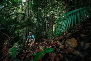 BIB: 
                            <button type="button" onclick="openModal(26432108)" class="btn btn-primary btn-sm float-right btn-popup" data-toggle="modal" data-target=".modal-high-quality">
                        <i class="fas fa-shopping-cart"></i> Add to Cart
                    </button>
                                            <button type="button" onclick="isThisMe(26432108, true)" class="btn btn-success btn-sm float-right btn-popup btn-isme hidden" data-toggle="tooltip" data-placement="bottom" title="นี่คือรูปของคุณใช่ไหม คลิกที่นี่เพื่อเอาเข้าอัลบั้ม">
                        <i class="fas fa-plus"></i> Add to album
                    </button>
                    <button type="button" onclick="isThisMe(26432108, false)" class="btn btn-warning btn-sm float-right btn-popup btn-isnotme hidden">
                        <i class="fas fa-ban"></i> Remove from album
                    </button>