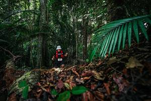 BIB: 
                            <button type="button" onclick="openModal(26430623)" class="btn btn-primary btn-sm float-right btn-popup" data-toggle="modal" data-target=".modal-high-quality">
                        <i class="fas fa-shopping-cart"></i> Add to Cart
                    </button>
                                            <button type="button" onclick="isThisMe(26430623, true)" class="btn btn-success btn-sm float-right btn-popup btn-isme hidden" data-toggle="tooltip" data-placement="bottom" title="นี่คือรูปของคุณใช่ไหม คลิกที่นี่เพื่อเอาเข้าอัลบั้ม">
                        <i class="fas fa-plus"></i> Add to album
                    </button>
                    <button type="button" onclick="isThisMe(26430623, false)" class="btn btn-warning btn-sm float-right btn-popup btn-isnotme hidden">
                        <i class="fas fa-ban"></i> Remove from album
                    </button>