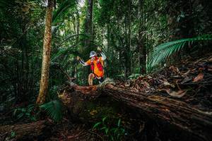 BIB: 
                            <button type="button" onclick="openModal(26426012)" class="btn btn-primary btn-sm float-right btn-popup" data-toggle="modal" data-target=".modal-high-quality">
                        <i class="fas fa-shopping-cart"></i> Add to Cart
                    </button>
                                            <button type="button" onclick="isThisMe(26426012, true)" class="btn btn-success btn-sm float-right btn-popup btn-isme hidden" data-toggle="tooltip" data-placement="bottom" title="นี่คือรูปของคุณใช่ไหม คลิกที่นี่เพื่อเอาเข้าอัลบั้ม">
                        <i class="fas fa-plus"></i> Add to album
                    </button>
                    <button type="button" onclick="isThisMe(26426012, false)" class="btn btn-warning btn-sm float-right btn-popup btn-isnotme hidden">
                        <i class="fas fa-ban"></i> Remove from album
                    </button>