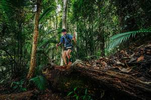 BIB: 
                            <button type="button" onclick="openModal(26425764)" class="btn btn-primary btn-sm float-right btn-popup" data-toggle="modal" data-target=".modal-high-quality">
                        <i class="fas fa-shopping-cart"></i> Add to Cart
                    </button>
                                            <button type="button" onclick="isThisMe(26425764, true)" class="btn btn-success btn-sm float-right btn-popup btn-isme hidden" data-toggle="tooltip" data-placement="bottom" title="นี่คือรูปของคุณใช่ไหม คลิกที่นี่เพื่อเอาเข้าอัลบั้ม">
                        <i class="fas fa-plus"></i> Add to album
                    </button>
                    <button type="button" onclick="isThisMe(26425764, false)" class="btn btn-warning btn-sm float-right btn-popup btn-isnotme hidden">
                        <i class="fas fa-ban"></i> Remove from album
                    </button>