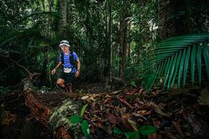 BIB: 
                            <button type="button" onclick="openModal(26431523)" class="btn btn-primary btn-sm float-right btn-popup" data-toggle="modal" data-target=".modal-high-quality">
                        <i class="fas fa-shopping-cart"></i> Add to Cart
                    </button>
                                            <button type="button" onclick="isThisMe(26431523, true)" class="btn btn-success btn-sm float-right btn-popup btn-isme hidden" data-toggle="tooltip" data-placement="bottom" title="นี่คือรูปของคุณใช่ไหม คลิกที่นี่เพื่อเอาเข้าอัลบั้ม">
                        <i class="fas fa-plus"></i> Add to album
                    </button>
                    <button type="button" onclick="isThisMe(26431523, false)" class="btn btn-warning btn-sm float-right btn-popup btn-isnotme hidden">
                        <i class="fas fa-ban"></i> Remove from album
                    </button>