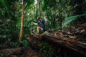 BIB: 
                            <button type="button" onclick="openModal(26425095)" class="btn btn-primary btn-sm float-right btn-popup" data-toggle="modal" data-target=".modal-high-quality">
                        <i class="fas fa-shopping-cart"></i> Add to Cart
                    </button>
                                            <button type="button" onclick="isThisMe(26425095, true)" class="btn btn-success btn-sm float-right btn-popup btn-isme hidden" data-toggle="tooltip" data-placement="bottom" title="นี่คือรูปของคุณใช่ไหม คลิกที่นี่เพื่อเอาเข้าอัลบั้ม">
                        <i class="fas fa-plus"></i> Add to album
                    </button>
                    <button type="button" onclick="isThisMe(26425095, false)" class="btn btn-warning btn-sm float-right btn-popup btn-isnotme hidden">
                        <i class="fas fa-ban"></i> Remove from album
                    </button>