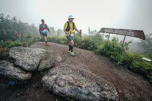 BIB: 
                            <button type="button" onclick="openModal(26420029)" class="btn btn-primary btn-sm float-right btn-popup" data-toggle="modal" data-target=".modal-high-quality">
                        <i class="fas fa-shopping-cart"></i> Add to Cart
                    </button>
                                            <button type="button" onclick="isThisMe(26420029, true)" class="btn btn-success btn-sm float-right btn-popup btn-isme hidden" data-toggle="tooltip" data-placement="bottom" title="นี่คือรูปของคุณใช่ไหม คลิกที่นี่เพื่อเอาเข้าอัลบั้ม">
                        <i class="fas fa-plus"></i> Add to album
                    </button>
                    <button type="button" onclick="isThisMe(26420029, false)" class="btn btn-warning btn-sm float-right btn-popup btn-isnotme hidden">
                        <i class="fas fa-ban"></i> Remove from album
                    </button>