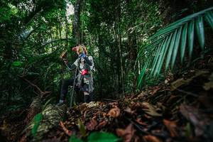 BIB: 
                            <button type="button" onclick="openModal(26428294)" class="btn btn-primary btn-sm float-right btn-popup" data-toggle="modal" data-target=".modal-high-quality">
                        <i class="fas fa-shopping-cart"></i> Add to Cart
                    </button>
                                            <button type="button" onclick="isThisMe(26428294, true)" class="btn btn-success btn-sm float-right btn-popup btn-isme hidden" data-toggle="tooltip" data-placement="bottom" title="นี่คือรูปของคุณใช่ไหม คลิกที่นี่เพื่อเอาเข้าอัลบั้ม">
                        <i class="fas fa-plus"></i> Add to album
                    </button>
                    <button type="button" onclick="isThisMe(26428294, false)" class="btn btn-warning btn-sm float-right btn-popup btn-isnotme hidden">
                        <i class="fas fa-ban"></i> Remove from album
                    </button>