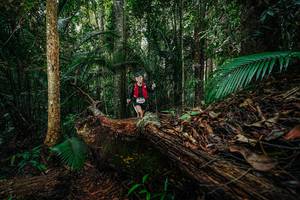 BIB: 
                            <button type="button" onclick="openModal(26426352)" class="btn btn-primary btn-sm float-right btn-popup" data-toggle="modal" data-target=".modal-high-quality">
                        <i class="fas fa-shopping-cart"></i> Add to Cart
                    </button>
                                            <button type="button" onclick="isThisMe(26426352, true)" class="btn btn-success btn-sm float-right btn-popup btn-isme hidden" data-toggle="tooltip" data-placement="bottom" title="นี่คือรูปของคุณใช่ไหม คลิกที่นี่เพื่อเอาเข้าอัลบั้ม">
                        <i class="fas fa-plus"></i> Add to album
                    </button>
                    <button type="button" onclick="isThisMe(26426352, false)" class="btn btn-warning btn-sm float-right btn-popup btn-isnotme hidden">
                        <i class="fas fa-ban"></i> Remove from album
                    </button>