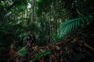 BIB: 
                            <button type="button" onclick="openModal(26431803)" class="btn btn-primary btn-sm float-right btn-popup" data-toggle="modal" data-target=".modal-high-quality">
                        <i class="fas fa-shopping-cart"></i> Add to Cart
                    </button>
                                            <button type="button" onclick="isThisMe(26431803, true)" class="btn btn-success btn-sm float-right btn-popup btn-isme hidden" data-toggle="tooltip" data-placement="bottom" title="นี่คือรูปของคุณใช่ไหม คลิกที่นี่เพื่อเอาเข้าอัลบั้ม">
                        <i class="fas fa-plus"></i> Add to album
                    </button>
                    <button type="button" onclick="isThisMe(26431803, false)" class="btn btn-warning btn-sm float-right btn-popup btn-isnotme hidden">
                        <i class="fas fa-ban"></i> Remove from album
                    </button>