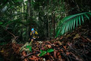 BIB: 
                            <button type="button" onclick="openModal(26429008)" class="btn btn-primary btn-sm float-right btn-popup" data-toggle="modal" data-target=".modal-high-quality">
                        <i class="fas fa-shopping-cart"></i> Add to Cart
                    </button>
                                            <button type="button" onclick="isThisMe(26429008, true)" class="btn btn-success btn-sm float-right btn-popup btn-isme hidden" data-toggle="tooltip" data-placement="bottom" title="นี่คือรูปของคุณใช่ไหม คลิกที่นี่เพื่อเอาเข้าอัลบั้ม">
                        <i class="fas fa-plus"></i> Add to album
                    </button>
                    <button type="button" onclick="isThisMe(26429008, false)" class="btn btn-warning btn-sm float-right btn-popup btn-isnotme hidden">
                        <i class="fas fa-ban"></i> Remove from album
                    </button>