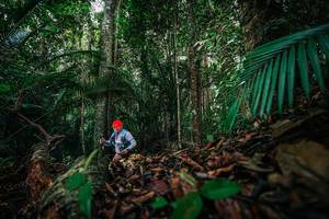 BIB: 
                            <button type="button" onclick="openModal(26432053)" class="btn btn-primary btn-sm float-right btn-popup" data-toggle="modal" data-target=".modal-high-quality">
                        <i class="fas fa-shopping-cart"></i> Add to Cart
                    </button>
                                            <button type="button" onclick="isThisMe(26432053, true)" class="btn btn-success btn-sm float-right btn-popup btn-isme hidden" data-toggle="tooltip" data-placement="bottom" title="นี่คือรูปของคุณใช่ไหม คลิกที่นี่เพื่อเอาเข้าอัลบั้ม">
                        <i class="fas fa-plus"></i> Add to album
                    </button>
                    <button type="button" onclick="isThisMe(26432053, false)" class="btn btn-warning btn-sm float-right btn-popup btn-isnotme hidden">
                        <i class="fas fa-ban"></i> Remove from album
                    </button>