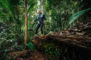 BIB: 
                            <button type="button" onclick="openModal(26424979)" class="btn btn-primary btn-sm float-right btn-popup" data-toggle="modal" data-target=".modal-high-quality">
                        <i class="fas fa-shopping-cart"></i> Add to Cart
                    </button>
                                            <button type="button" onclick="isThisMe(26424979, true)" class="btn btn-success btn-sm float-right btn-popup btn-isme hidden" data-toggle="tooltip" data-placement="bottom" title="นี่คือรูปของคุณใช่ไหม คลิกที่นี่เพื่อเอาเข้าอัลบั้ม">
                        <i class="fas fa-plus"></i> Add to album
                    </button>
                    <button type="button" onclick="isThisMe(26424979, false)" class="btn btn-warning btn-sm float-right btn-popup btn-isnotme hidden">
                        <i class="fas fa-ban"></i> Remove from album
                    </button>