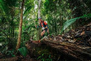 BIB: 
                            <button type="button" onclick="openModal(26424871)" class="btn btn-primary btn-sm float-right btn-popup" data-toggle="modal" data-target=".modal-high-quality">
                        <i class="fas fa-shopping-cart"></i> Add to Cart
                    </button>
                                            <button type="button" onclick="isThisMe(26424871, true)" class="btn btn-success btn-sm float-right btn-popup btn-isme hidden" data-toggle="tooltip" data-placement="bottom" title="นี่คือรูปของคุณใช่ไหม คลิกที่นี่เพื่อเอาเข้าอัลบั้ม">
                        <i class="fas fa-plus"></i> Add to album
                    </button>
                    <button type="button" onclick="isThisMe(26424871, false)" class="btn btn-warning btn-sm float-right btn-popup btn-isnotme hidden">
                        <i class="fas fa-ban"></i> Remove from album
                    </button>