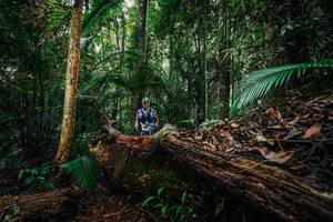 BIB: 
                            <button type="button" onclick="openModal(26425960)" class="btn btn-primary btn-sm float-right btn-popup" data-toggle="modal" data-target=".modal-high-quality">
                        <i class="fas fa-shopping-cart"></i> Add to Cart
                    </button>
                                            <button type="button" onclick="isThisMe(26425960, true)" class="btn btn-success btn-sm float-right btn-popup btn-isme hidden" data-toggle="tooltip" data-placement="bottom" title="นี่คือรูปของคุณใช่ไหม คลิกที่นี่เพื่อเอาเข้าอัลบั้ม">
                        <i class="fas fa-plus"></i> Add to album
                    </button>
                    <button type="button" onclick="isThisMe(26425960, false)" class="btn btn-warning btn-sm float-right btn-popup btn-isnotme hidden">
                        <i class="fas fa-ban"></i> Remove from album
                    </button>