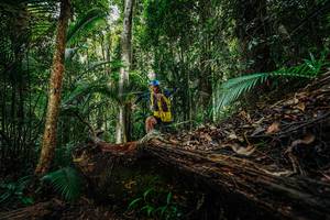 BIB: 
                            <button type="button" onclick="openModal(26425790)" class="btn btn-primary btn-sm float-right btn-popup" data-toggle="modal" data-target=".modal-high-quality">
                        <i class="fas fa-shopping-cart"></i> Add to Cart
                    </button>
                                            <button type="button" onclick="isThisMe(26425790, true)" class="btn btn-success btn-sm float-right btn-popup btn-isme hidden" data-toggle="tooltip" data-placement="bottom" title="นี่คือรูปของคุณใช่ไหม คลิกที่นี่เพื่อเอาเข้าอัลบั้ม">
                        <i class="fas fa-plus"></i> Add to album
                    </button>
                    <button type="button" onclick="isThisMe(26425790, false)" class="btn btn-warning btn-sm float-right btn-popup btn-isnotme hidden">
                        <i class="fas fa-ban"></i> Remove from album
                    </button>