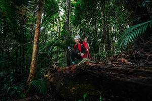 BIB: 
                            <button type="button" onclick="openModal(26424626)" class="btn btn-primary btn-sm float-right btn-popup" data-toggle="modal" data-target=".modal-high-quality">
                        <i class="fas fa-shopping-cart"></i> Add to Cart
                    </button>
                                            <button type="button" onclick="isThisMe(26424626, true)" class="btn btn-success btn-sm float-right btn-popup btn-isme hidden" data-toggle="tooltip" data-placement="bottom" title="นี่คือรูปของคุณใช่ไหม คลิกที่นี่เพื่อเอาเข้าอัลบั้ม">
                        <i class="fas fa-plus"></i> Add to album
                    </button>
                    <button type="button" onclick="isThisMe(26424626, false)" class="btn btn-warning btn-sm float-right btn-popup btn-isnotme hidden">
                        <i class="fas fa-ban"></i> Remove from album
                    </button>