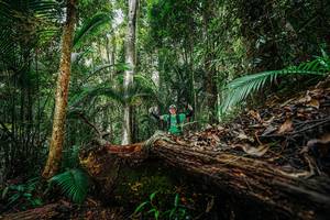 BIB: 
                            <button type="button" onclick="openModal(26425728)" class="btn btn-primary btn-sm float-right btn-popup" data-toggle="modal" data-target=".modal-high-quality">
                        <i class="fas fa-shopping-cart"></i> Add to Cart
                    </button>
                                            <button type="button" onclick="isThisMe(26425728, true)" class="btn btn-success btn-sm float-right btn-popup btn-isme hidden" data-toggle="tooltip" data-placement="bottom" title="นี่คือรูปของคุณใช่ไหม คลิกที่นี่เพื่อเอาเข้าอัลบั้ม">
                        <i class="fas fa-plus"></i> Add to album
                    </button>
                    <button type="button" onclick="isThisMe(26425728, false)" class="btn btn-warning btn-sm float-right btn-popup btn-isnotme hidden">
                        <i class="fas fa-ban"></i> Remove from album
                    </button>