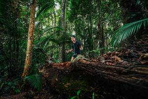 BIB: 
                            <button type="button" onclick="openModal(26424658)" class="btn btn-primary btn-sm float-right btn-popup" data-toggle="modal" data-target=".modal-high-quality">
                        <i class="fas fa-shopping-cart"></i> Add to Cart
                    </button>
                                            <button type="button" onclick="isThisMe(26424658, true)" class="btn btn-success btn-sm float-right btn-popup btn-isme hidden" data-toggle="tooltip" data-placement="bottom" title="นี่คือรูปของคุณใช่ไหม คลิกที่นี่เพื่อเอาเข้าอัลบั้ม">
                        <i class="fas fa-plus"></i> Add to album
                    </button>
                    <button type="button" onclick="isThisMe(26424658, false)" class="btn btn-warning btn-sm float-right btn-popup btn-isnotme hidden">
                        <i class="fas fa-ban"></i> Remove from album
                    </button>