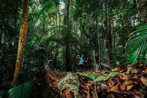 BIB: 
                            <button type="button" onclick="openModal(26421930)" class="btn btn-primary btn-sm float-right btn-popup" data-toggle="modal" data-target=".modal-high-quality">
                        <i class="fas fa-shopping-cart"></i> Add to Cart
                    </button>
                                            <button type="button" onclick="isThisMe(26421930, true)" class="btn btn-success btn-sm float-right btn-popup btn-isme hidden" data-toggle="tooltip" data-placement="bottom" title="นี่คือรูปของคุณใช่ไหม คลิกที่นี่เพื่อเอาเข้าอัลบั้ม">
                        <i class="fas fa-plus"></i> Add to album
                    </button>
                    <button type="button" onclick="isThisMe(26421930, false)" class="btn btn-warning btn-sm float-right btn-popup btn-isnotme hidden">
                        <i class="fas fa-ban"></i> Remove from album
                    </button>