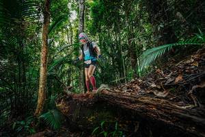 BIB: 
                            <button type="button" onclick="openModal(26425624)" class="btn btn-primary btn-sm float-right btn-popup" data-toggle="modal" data-target=".modal-high-quality">
                        <i class="fas fa-shopping-cart"></i> Add to Cart
                    </button>
                                            <button type="button" onclick="isThisMe(26425624, true)" class="btn btn-success btn-sm float-right btn-popup btn-isme hidden" data-toggle="tooltip" data-placement="bottom" title="นี่คือรูปของคุณใช่ไหม คลิกที่นี่เพื่อเอาเข้าอัลบั้ม">
                        <i class="fas fa-plus"></i> Add to album
                    </button>
                    <button type="button" onclick="isThisMe(26425624, false)" class="btn btn-warning btn-sm float-right btn-popup btn-isnotme hidden">
                        <i class="fas fa-ban"></i> Remove from album
                    </button>