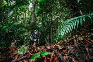 BIB: 
                            <button type="button" onclick="openModal(26427539)" class="btn btn-primary btn-sm float-right btn-popup" data-toggle="modal" data-target=".modal-high-quality">
                        <i class="fas fa-shopping-cart"></i> Add to Cart
                    </button>
                                            <button type="button" onclick="isThisMe(26427539, true)" class="btn btn-success btn-sm float-right btn-popup btn-isme hidden" data-toggle="tooltip" data-placement="bottom" title="นี่คือรูปของคุณใช่ไหม คลิกที่นี่เพื่อเอาเข้าอัลบั้ม">
                        <i class="fas fa-plus"></i> Add to album
                    </button>
                    <button type="button" onclick="isThisMe(26427539, false)" class="btn btn-warning btn-sm float-right btn-popup btn-isnotme hidden">
                        <i class="fas fa-ban"></i> Remove from album
                    </button>