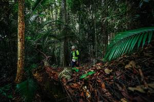 BIB: 
                            <button type="button" onclick="openModal(26427005)" class="btn btn-primary btn-sm float-right btn-popup" data-toggle="modal" data-target=".modal-high-quality">
                        <i class="fas fa-shopping-cart"></i> Add to Cart
                    </button>
                                            <button type="button" onclick="isThisMe(26427005, true)" class="btn btn-success btn-sm float-right btn-popup btn-isme hidden" data-toggle="tooltip" data-placement="bottom" title="นี่คือรูปของคุณใช่ไหม คลิกที่นี่เพื่อเอาเข้าอัลบั้ม">
                        <i class="fas fa-plus"></i> Add to album
                    </button>
                    <button type="button" onclick="isThisMe(26427005, false)" class="btn btn-warning btn-sm float-right btn-popup btn-isnotme hidden">
                        <i class="fas fa-ban"></i> Remove from album
                    </button>