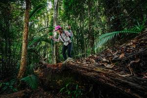 BIB: 
                            <button type="button" onclick="openModal(26425642)" class="btn btn-primary btn-sm float-right btn-popup" data-toggle="modal" data-target=".modal-high-quality">
                        <i class="fas fa-shopping-cart"></i> Add to Cart
                    </button>
                                            <button type="button" onclick="isThisMe(26425642, true)" class="btn btn-success btn-sm float-right btn-popup btn-isme hidden" data-toggle="tooltip" data-placement="bottom" title="นี่คือรูปของคุณใช่ไหม คลิกที่นี่เพื่อเอาเข้าอัลบั้ม">
                        <i class="fas fa-plus"></i> Add to album
                    </button>
                    <button type="button" onclick="isThisMe(26425642, false)" class="btn btn-warning btn-sm float-right btn-popup btn-isnotme hidden">
                        <i class="fas fa-ban"></i> Remove from album
                    </button>