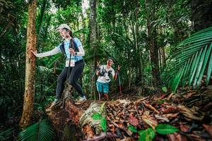 BIB: 
                            <button type="button" onclick="openModal(26429950)" class="btn btn-primary btn-sm float-right btn-popup" data-toggle="modal" data-target=".modal-high-quality">
                        <i class="fas fa-shopping-cart"></i> Add to Cart
                    </button>
                                            <button type="button" onclick="isThisMe(26429950, true)" class="btn btn-success btn-sm float-right btn-popup btn-isme hidden" data-toggle="tooltip" data-placement="bottom" title="นี่คือรูปของคุณใช่ไหม คลิกที่นี่เพื่อเอาเข้าอัลบั้ม">
                        <i class="fas fa-plus"></i> Add to album
                    </button>
                    <button type="button" onclick="isThisMe(26429950, false)" class="btn btn-warning btn-sm float-right btn-popup btn-isnotme hidden">
                        <i class="fas fa-ban"></i> Remove from album
                    </button>