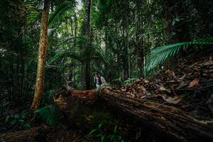 BIB: 
                            <button type="button" onclick="openModal(26425882)" class="btn btn-primary btn-sm float-right btn-popup" data-toggle="modal" data-target=".modal-high-quality">
                        <i class="fas fa-shopping-cart"></i> Add to Cart
                    </button>
                                            <button type="button" onclick="isThisMe(26425882, true)" class="btn btn-success btn-sm float-right btn-popup btn-isme hidden" data-toggle="tooltip" data-placement="bottom" title="นี่คือรูปของคุณใช่ไหม คลิกที่นี่เพื่อเอาเข้าอัลบั้ม">
                        <i class="fas fa-plus"></i> Add to album
                    </button>
                    <button type="button" onclick="isThisMe(26425882, false)" class="btn btn-warning btn-sm float-right btn-popup btn-isnotme hidden">
                        <i class="fas fa-ban"></i> Remove from album
                    </button>