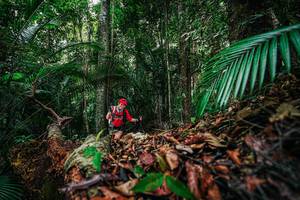 BIB: 
                            <button type="button" onclick="openModal(26429226)" class="btn btn-primary btn-sm float-right btn-popup" data-toggle="modal" data-target=".modal-high-quality">
                        <i class="fas fa-shopping-cart"></i> Add to Cart
                    </button>
                                            <button type="button" onclick="isThisMe(26429226, true)" class="btn btn-success btn-sm float-right btn-popup btn-isme hidden" data-toggle="tooltip" data-placement="bottom" title="นี่คือรูปของคุณใช่ไหม คลิกที่นี่เพื่อเอาเข้าอัลบั้ม">
                        <i class="fas fa-plus"></i> Add to album
                    </button>
                    <button type="button" onclick="isThisMe(26429226, false)" class="btn btn-warning btn-sm float-right btn-popup btn-isnotme hidden">
                        <i class="fas fa-ban"></i> Remove from album
                    </button>