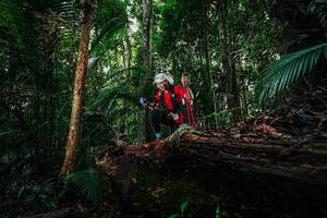 BIB: 
                            <button type="button" onclick="openModal(26424628)" class="btn btn-primary btn-sm float-right btn-popup" data-toggle="modal" data-target=".modal-high-quality">
                        <i class="fas fa-shopping-cart"></i> Add to Cart
                    </button>
                                            <button type="button" onclick="isThisMe(26424628, true)" class="btn btn-success btn-sm float-right btn-popup btn-isme hidden" data-toggle="tooltip" data-placement="bottom" title="นี่คือรูปของคุณใช่ไหม คลิกที่นี่เพื่อเอาเข้าอัลบั้ม">
                        <i class="fas fa-plus"></i> Add to album
                    </button>
                    <button type="button" onclick="isThisMe(26424628, false)" class="btn btn-warning btn-sm float-right btn-popup btn-isnotme hidden">
                        <i class="fas fa-ban"></i> Remove from album
                    </button>