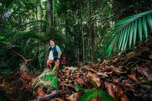 BIB: 
                            <button type="button" onclick="openModal(26429313)" class="btn btn-primary btn-sm float-right btn-popup" data-toggle="modal" data-target=".modal-high-quality">
                        <i class="fas fa-shopping-cart"></i> Add to Cart
                    </button>
                                            <button type="button" onclick="isThisMe(26429313, true)" class="btn btn-success btn-sm float-right btn-popup btn-isme hidden" data-toggle="tooltip" data-placement="bottom" title="นี่คือรูปของคุณใช่ไหม คลิกที่นี่เพื่อเอาเข้าอัลบั้ม">
                        <i class="fas fa-plus"></i> Add to album
                    </button>
                    <button type="button" onclick="isThisMe(26429313, false)" class="btn btn-warning btn-sm float-right btn-popup btn-isnotme hidden">
                        <i class="fas fa-ban"></i> Remove from album
                    </button>