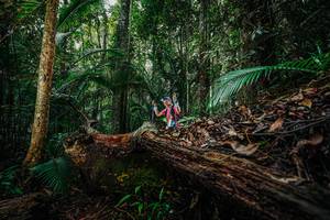 BIB: 
                            <button type="button" onclick="openModal(26426056)" class="btn btn-primary btn-sm float-right btn-popup" data-toggle="modal" data-target=".modal-high-quality">
                        <i class="fas fa-shopping-cart"></i> Add to Cart
                    </button>
                                            <button type="button" onclick="isThisMe(26426056, true)" class="btn btn-success btn-sm float-right btn-popup btn-isme hidden" data-toggle="tooltip" data-placement="bottom" title="นี่คือรูปของคุณใช่ไหม คลิกที่นี่เพื่อเอาเข้าอัลบั้ม">
                        <i class="fas fa-plus"></i> Add to album
                    </button>
                    <button type="button" onclick="isThisMe(26426056, false)" class="btn btn-warning btn-sm float-right btn-popup btn-isnotme hidden">
                        <i class="fas fa-ban"></i> Remove from album
                    </button>